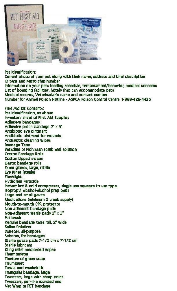 FirstAidPoster.jpg - 130145 Bytes