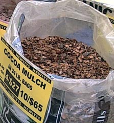 cocabeanmulch.jpg - 43010 Bytes